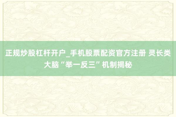 正规炒股杠杆开户_手机股票配资官方注册 灵长类大脑“举一反三”机制揭秘